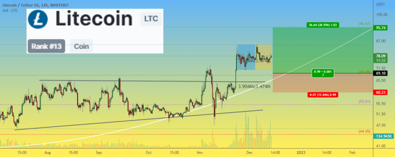 "Litecoin halving" took place. Where will the LTC price go?