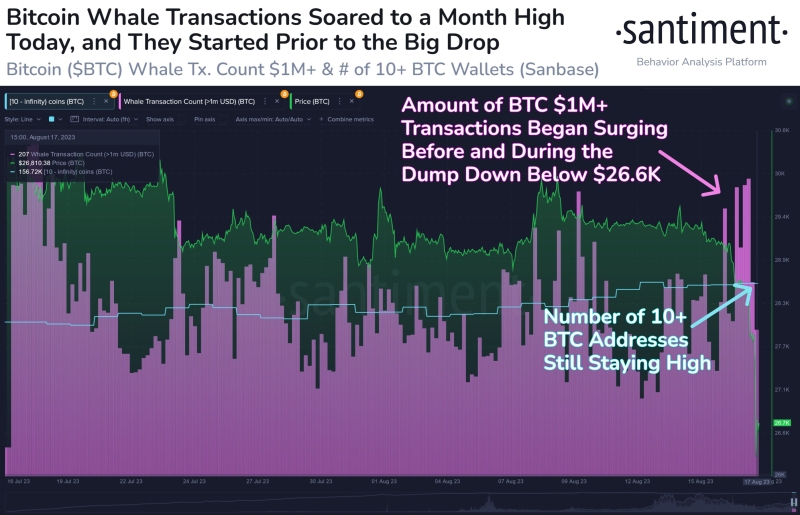 Bitcoin Buy the Dip Calls At 4-Month High BTC Price Drops to $26K