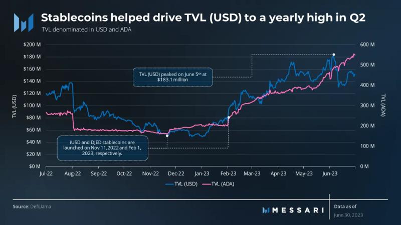 Cardano: Why did users decline in Q2?