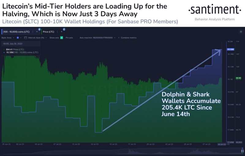 Litecoin investors on a buying spree as halving nears