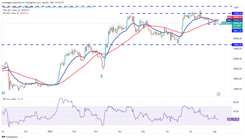 SHIB, UNI, OKB and HBAR flash bullish signs as Bitcoin volatility hits record low