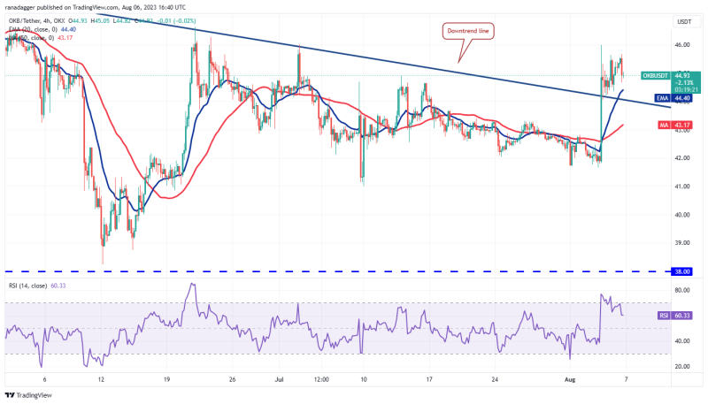 SHIB, UNI, OKB and HBAR flash bullish signs as Bitcoin volatility hits record low