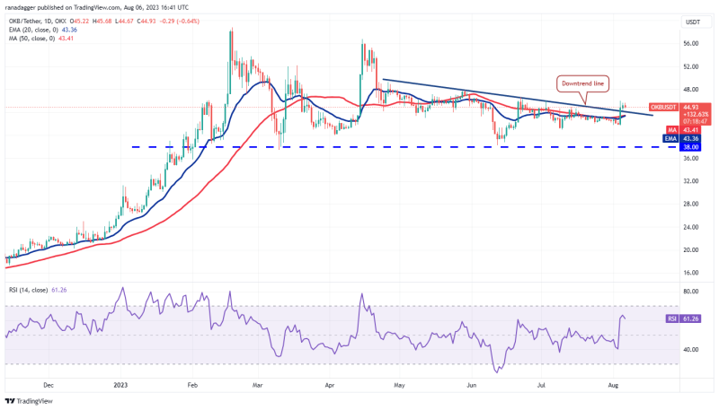 SHIB, UNI, OKB and HBAR flash bullish signs as Bitcoin volatility hits record low