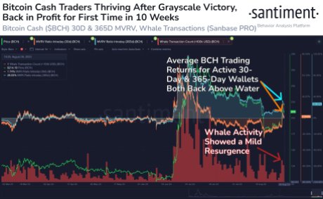 Bitcoin Cash Traders Move Into Profit, But Can The Rally Continue?