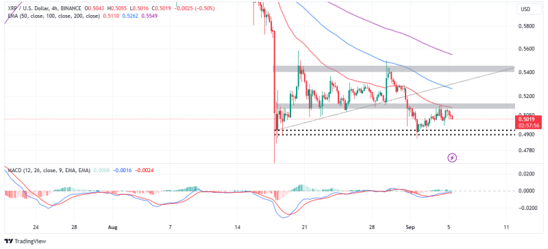 XRP Price Rally Awaits the Proper Party Event In NYC.