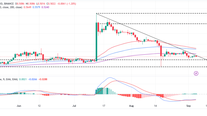 XRP Price Rally Awaits the Proper Party Event In NYC.