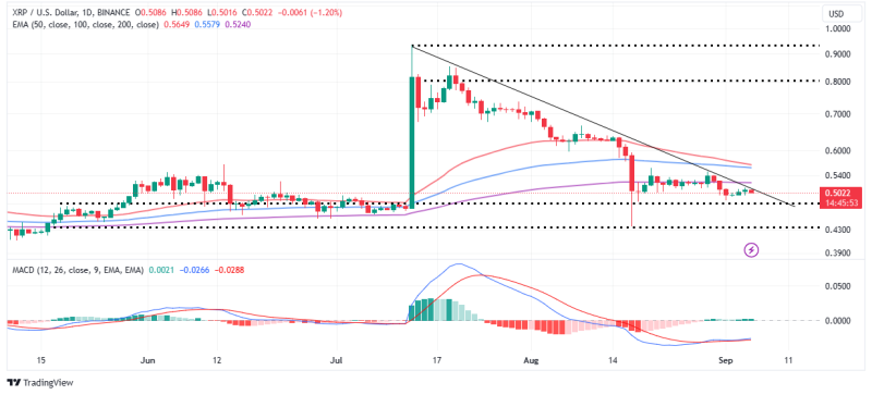 XRP Price Rally Awaits the Proper Party Event In NYC.