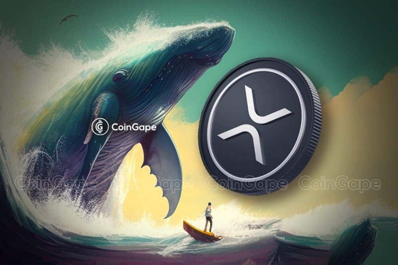 Whale Buys 410 M XRP Worth Over $200 Mln, Price To Rally?