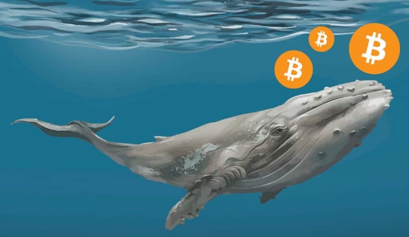 Bitcoin Whales on a selling spree, is price slump incoming?