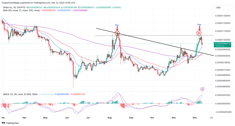 Top Reasons Why You Should Buy Bitcoin (BTC), Shiba Inu (SHIB) In December 