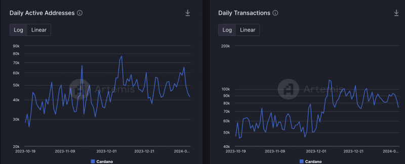 Cardano finishes 1st on this front, but what about ADA?