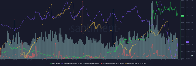 Cardano: Will ADA prices stay true to their 2024 predictions