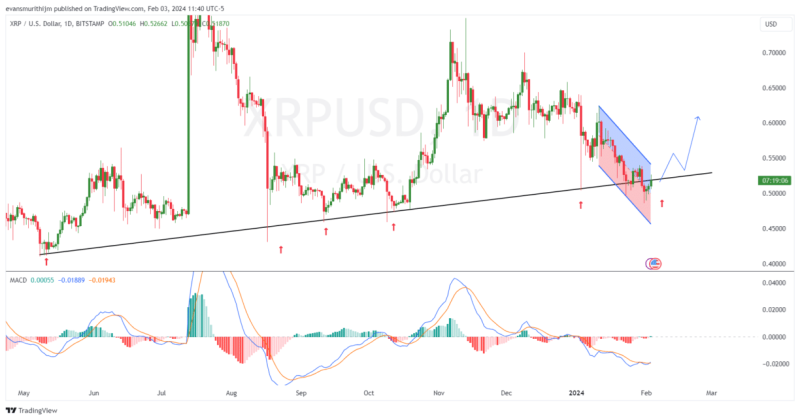 4 Altcoins Set To Outperform Ethereum In February 2024