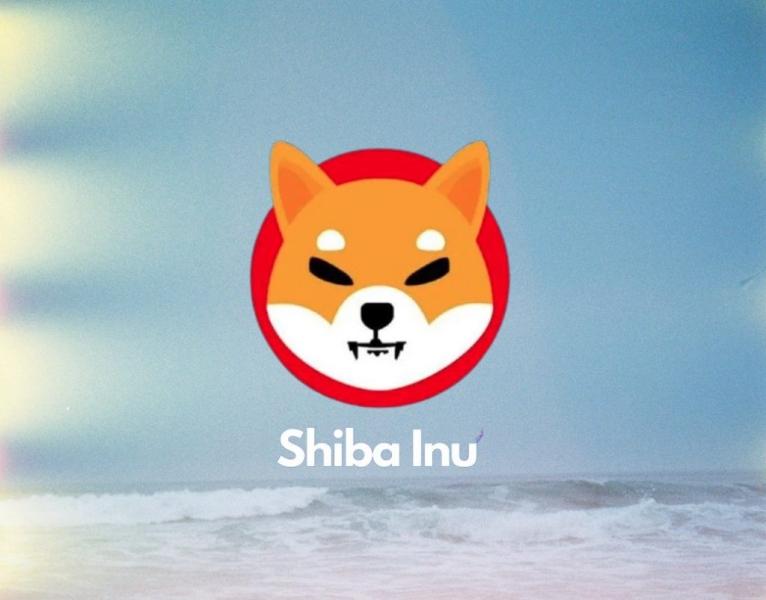 SHIB Price: Shiba Inu Monthly Burn Skyrockets 2300%, Price Rally Looms?