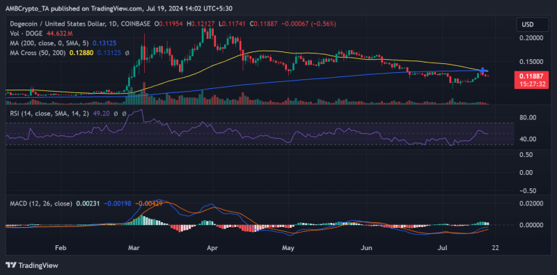 Betting on Dogecoin: Why DOGE is a whale favorite this month