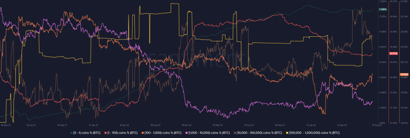 How Bitcoin’s whale action can stop BTC from falling below $60K