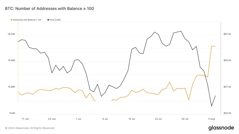 Will Bitcoin’s $50K support hold? Analysts weigh in!