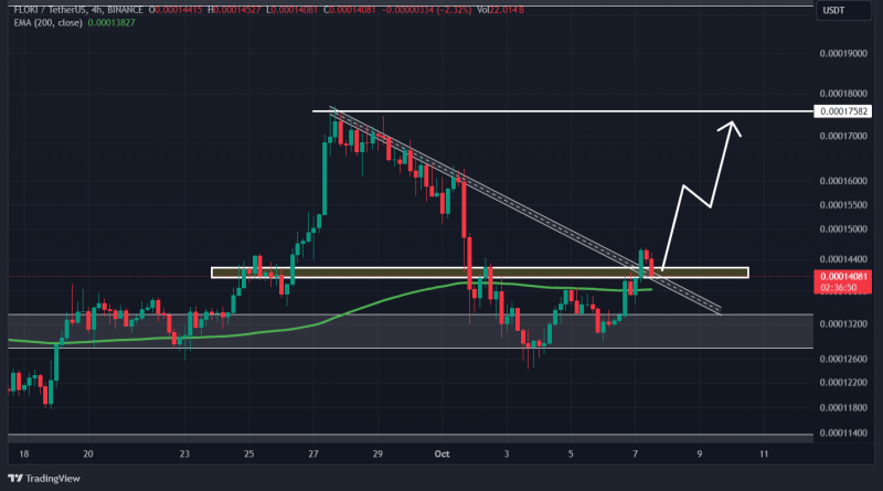 FLOKI: Why a 20% rally could be in the works for the memecoin