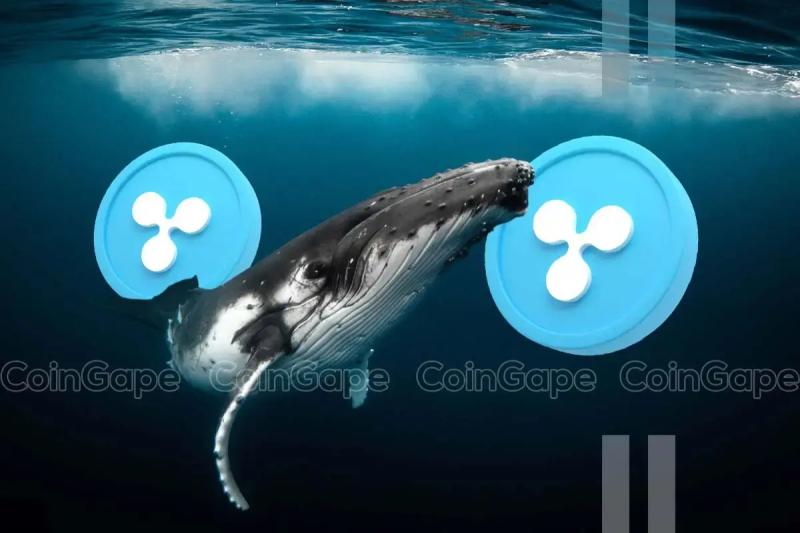 XRP News: Ripple Whales Buy 830M Coins Amid RLUSD Launch Optimism