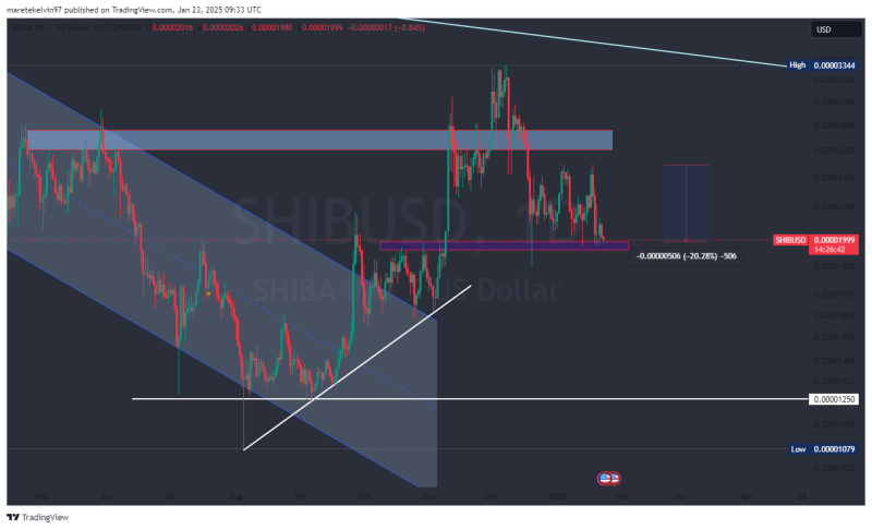 Shiba Inu burn rate hits 612% – Is SHIB’s bearish momentum fading?